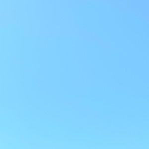 Meet your Posher, Bailey